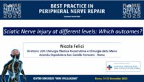 Sciatic Nerve Injury at different levels: Which outcomes?