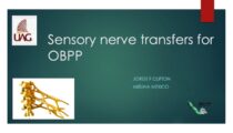 Secondary reconstruction of sensation Sensory nerve transfers for OBP