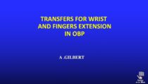 The transfers for wrist and hand extensión in OBP are not so good